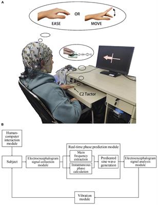 Closed-Loop Phase-Dependent Vibration Stimulation Improves Motor Imagery-Based Brain-Computer Interface Performance